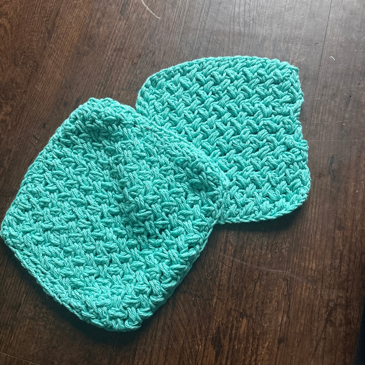 Dish cloth