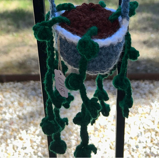 Crochet car plant